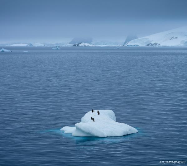 Antarctica